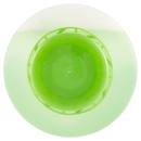 Winni's Naturel Pavimenti & Superfici Lavabili Igienizzante 1000 ml